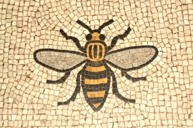 Manchester bee mosaic