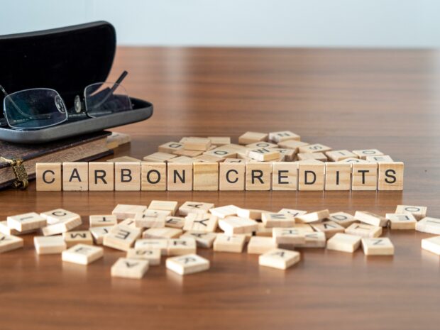 carbon credits the word or concept represented by wooden letter tiles